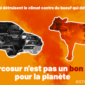 cars_for_cows_-_french